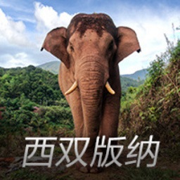 卡片爬行冒险中文版下载安装